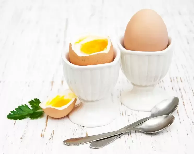 telur rebus untuk diet telur